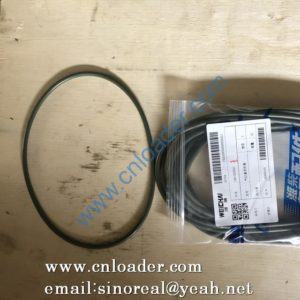 weichai  Cylinder liner seal ring  1001525023