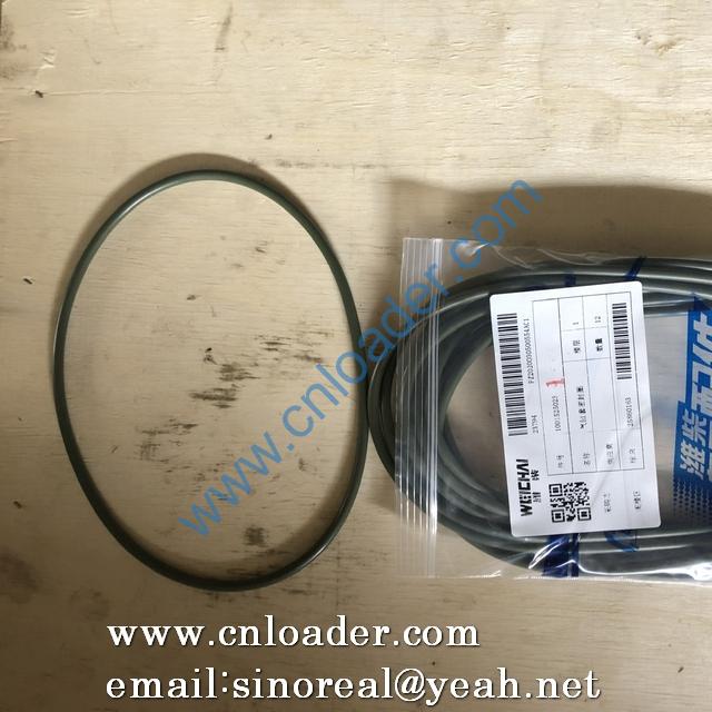 weichai Cylinder liner seal ring 1001525023
