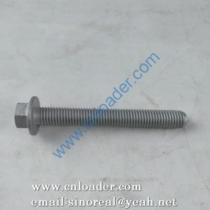 Hexagon flange bolt 1004483844