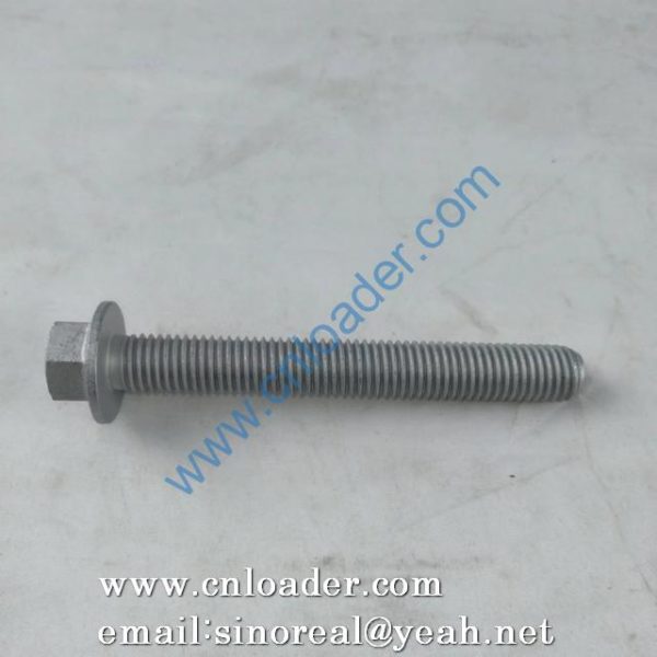 Hexagon flange bolt 1004483844