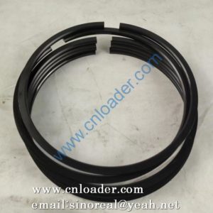 Piston ring 1006430646