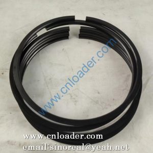 Piston ring 1006430646