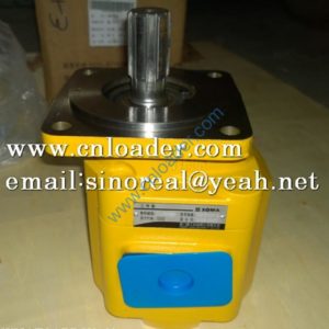 XGMA  XG951 XG953 XG955  USE11C0095 Gear Pump CGBq2100 (6 keys)