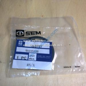 Sealing ring 1P3707