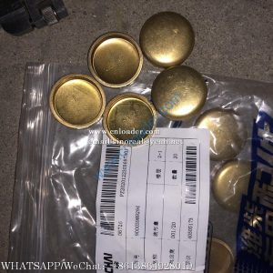 SDLG 4110000591045 Bowl plug 90003989294
