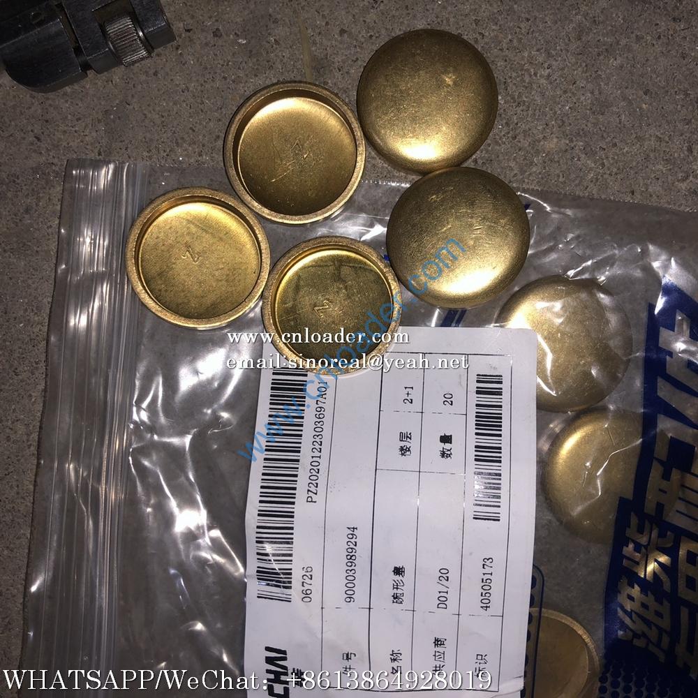 SDLG 4110000591045 Bowl plug 90003989294