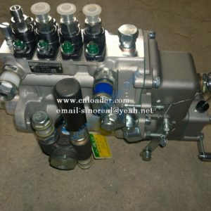 fuel injection pump assembly 4PL1306 YTO YT4A2-24 100104032202