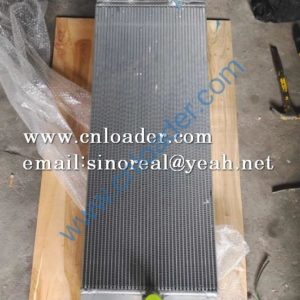 Water Radiator 60274098