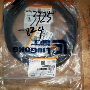 Liugong seal ring 80A0776