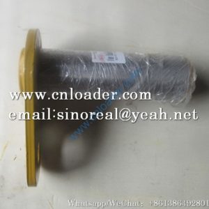 Foton Lovol pin 9D550-16B010000A0