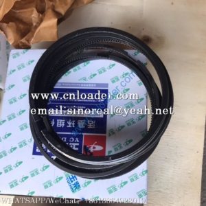 YUCHAI ENGINE Piston Ring DK100-1004040