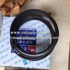 YUCHAI ENGINE Piston Ring DK100-1004040