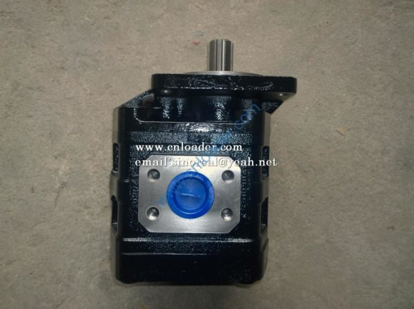 LG853.06.08 gear pump 60301000041 LGB2080 - Image 2