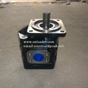LG853.06.08 gear pump 60301000041 LGB2080