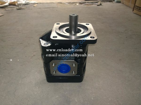 LG853.06.08 gear pump 60301000041 LGB2080