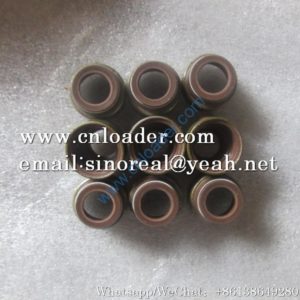 Liugong Valve Stem Seal SP101966 61500040039