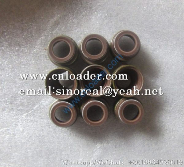 Liugong Valve Stem Seal SP101966 61500040039