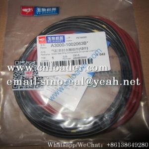 Liugong Cylinder Liner Water Seal SP106197 A3000-1002063B