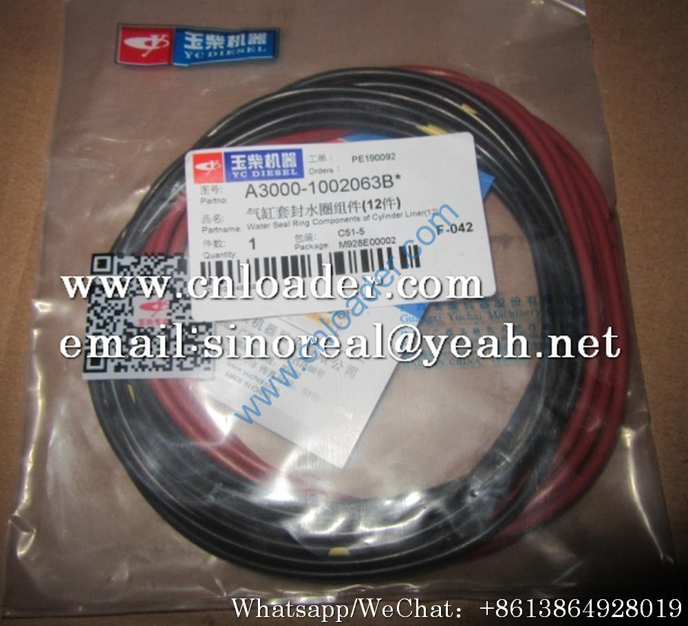 Liugong Cylinder Liner Water Seal SP106197 A3000-1002063B