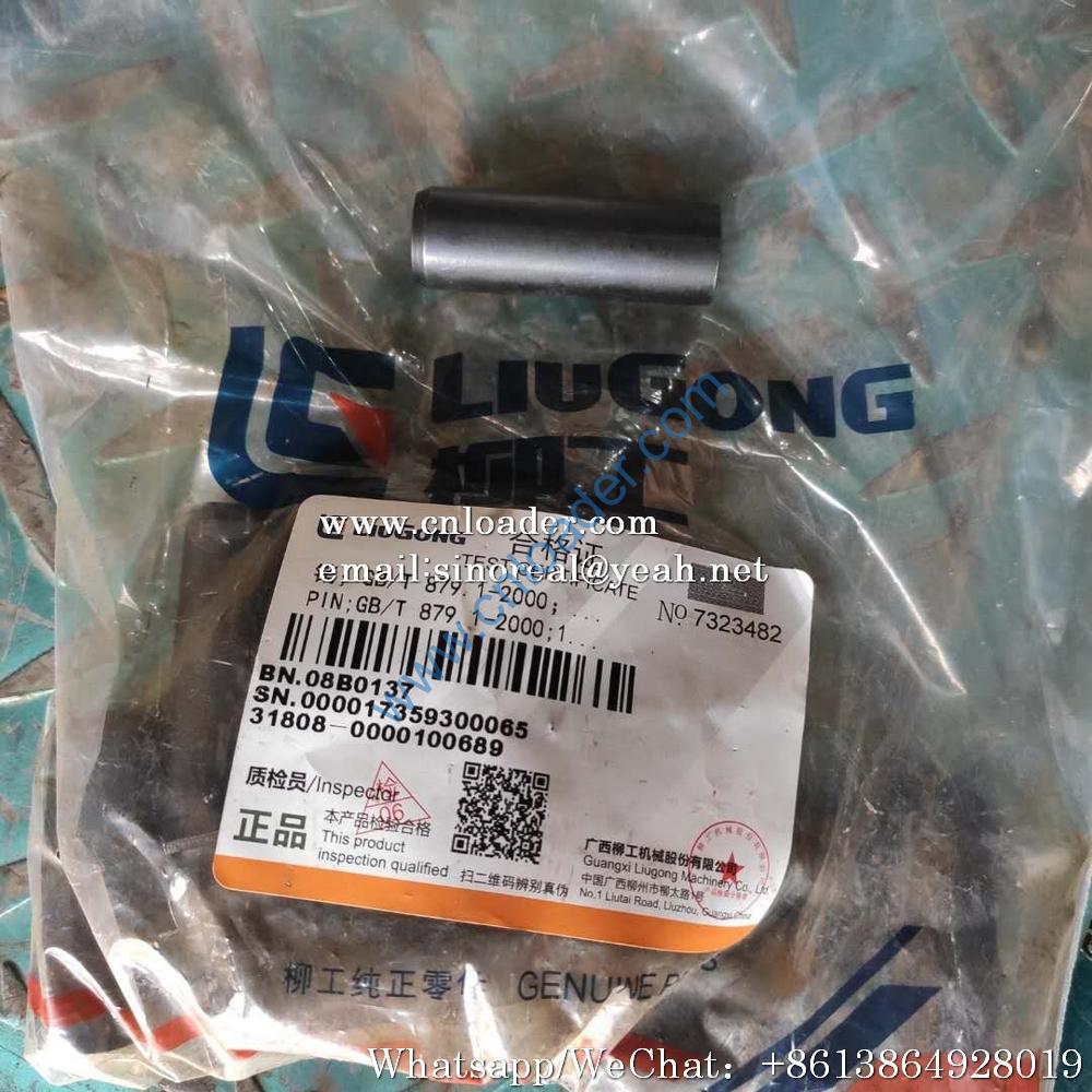 Liugong Pin 08B0137