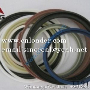 SDLG Seal repair kit 11214193 14589136