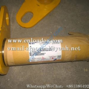 Liugong Pin 11D0066 11D0066X0