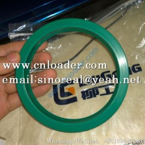 LiuGong SEAL RING 13B0119