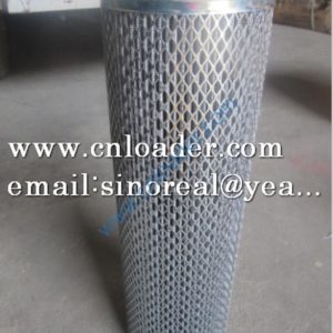 SDLG filter element 29200004061