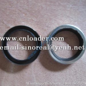 LiuGong SEAL RING 34C0034 ZL20C.11.3
