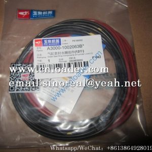 SDLG Cylinder liner water seal ring assembly 4110000560099 A3000-1002063B