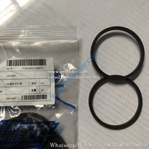 SDLG Seal ring 4110002247045  13034955