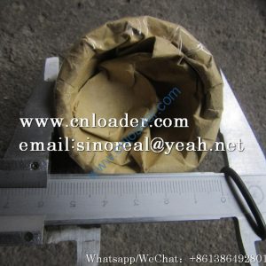 SDLG LG956 Steering cylinder bushing 4120000553407