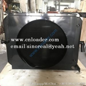 SDLG TD226B-6G Radiator 4190000558