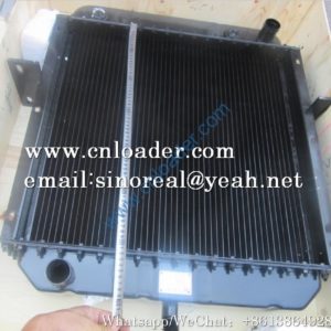 SDLG Radiator assembly LYWZ25-3 4190000894