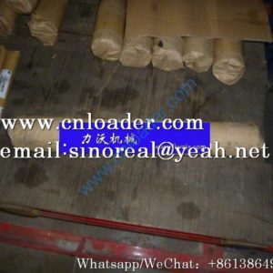 LiuGong Pin 60A0384