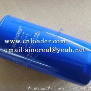 Liugong oil filter SP102053 6100070005 SP102047 JX0818