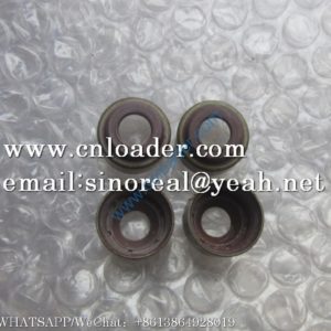 WEICHAI Valve stem seal sleeve 13023391