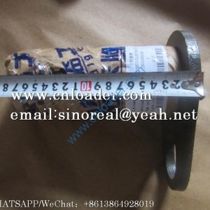 SDLG Upper hinge pin 29250001081