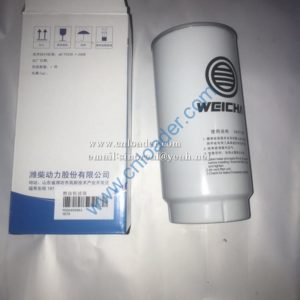 SDLG Fuel filter  4110003073003  1000495963