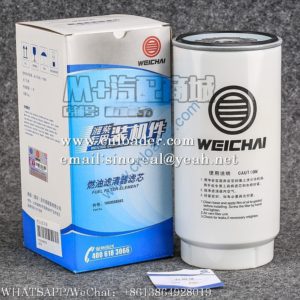 SDLG Fuel filter 4110003478019 1000588583