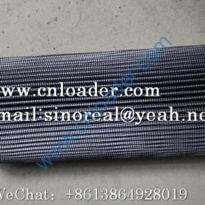 SDLG filter element 4120002104001