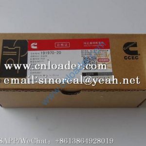 PISTON PIN P191970 191970-20