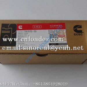 PISTON PIN P191970 191970-20