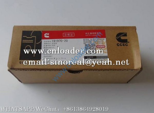 PISTON PIN P191970  191970-20