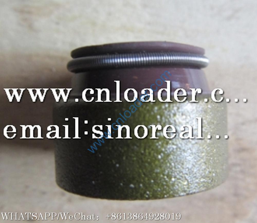 SEM Valve stem seal sleeve W010515090 612600040114