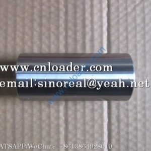 SEM Piston pin W014200031 C05AL-7N9805