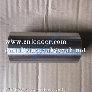 SEM Piston pin W47008114 D05-112-40+A