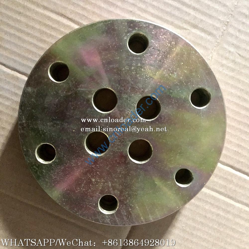 SEM Upper hinge pin fixing plate Z520031230 4314609