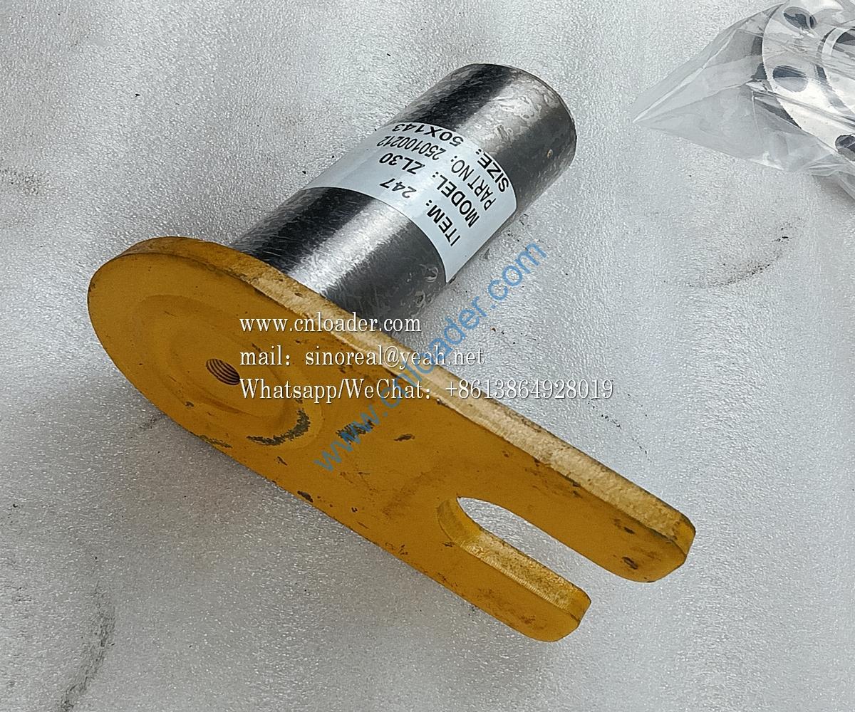 321F Frame pin Z3.8.5 250100212 9301317 50X145