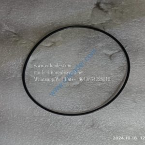 XCMG parts O-ring 803192513 GB/T3452.1-2005  160×3.55